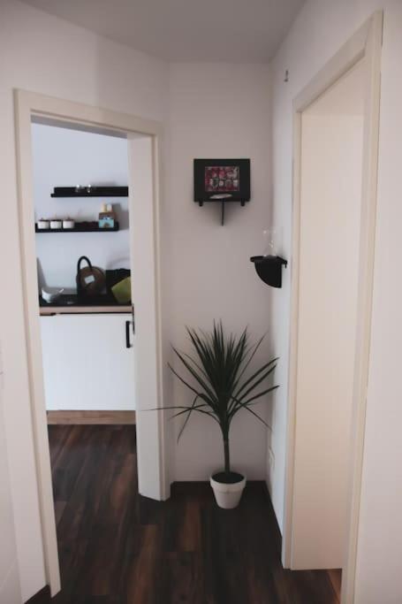 Schoene Wohnung Top Lage Koeln Work & Relax & Travel Frechen Dış mekan fotoğraf